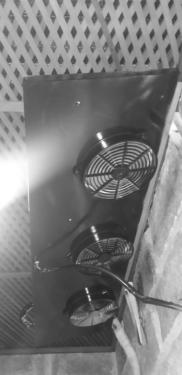 Galeria LBF Adegas (47).jpeg