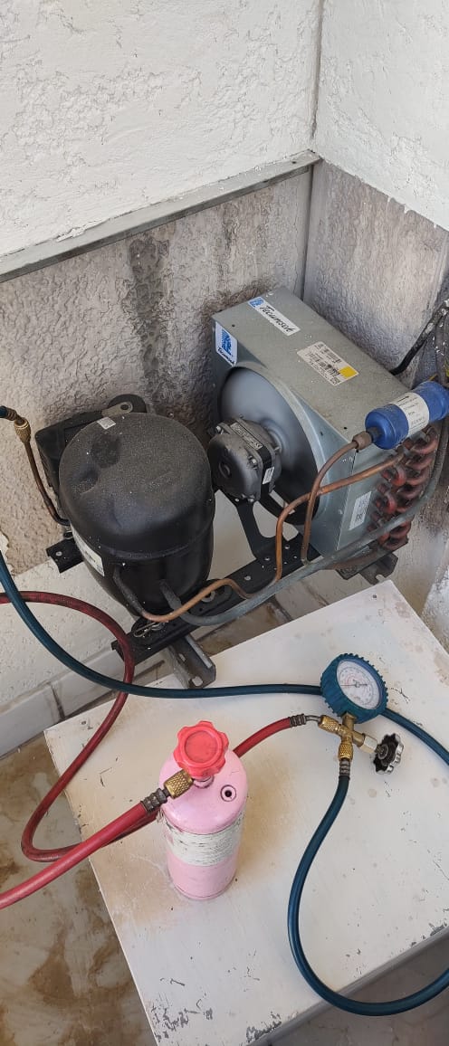 Galeria LBF Adegas (23).jpeg